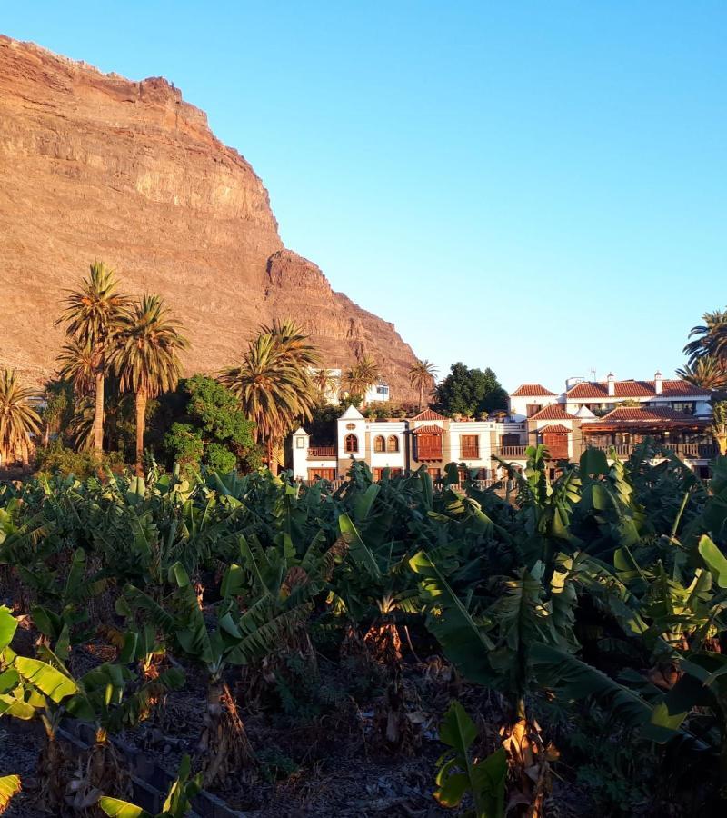 Finca Borbolan Y La Roseta Valle Gran Rey Eksteriør billede