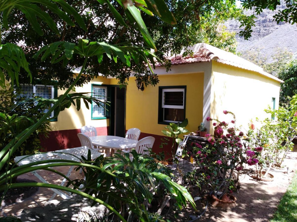 Finca Borbolan Y La Roseta Valle Gran Rey Eksteriør billede